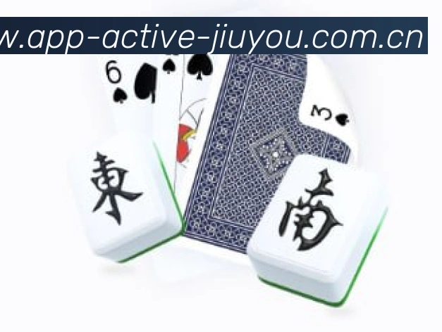 未来规划